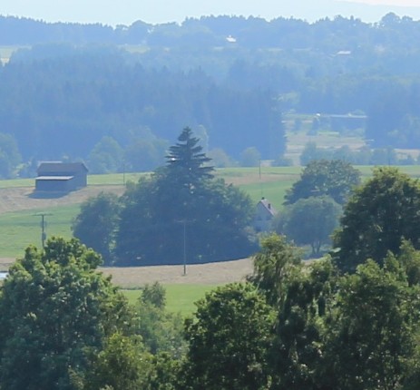 Mühlen in Neuhausen